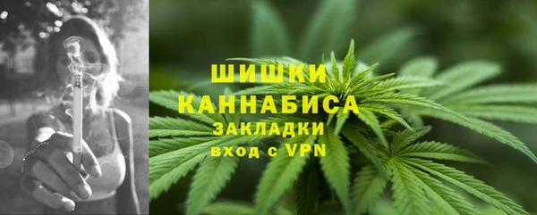 круглые Аркадак