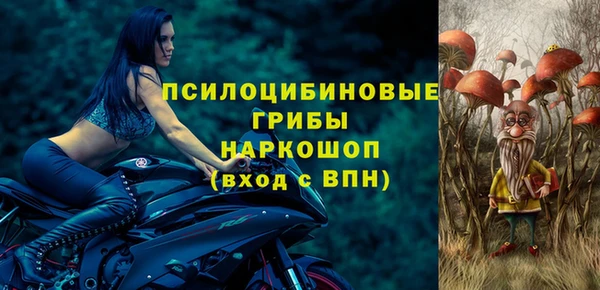 гидра Алзамай