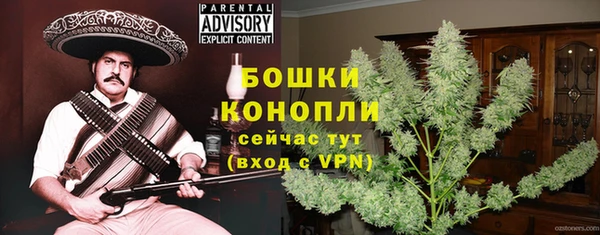дурь Арсеньев
