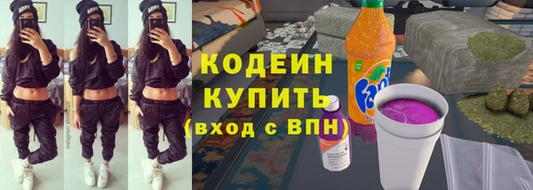дурь Арсеньев