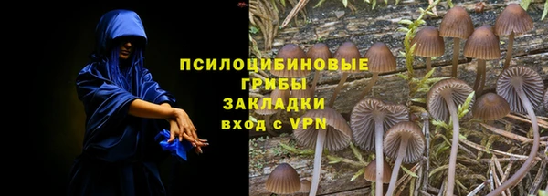 дурь Арсеньев