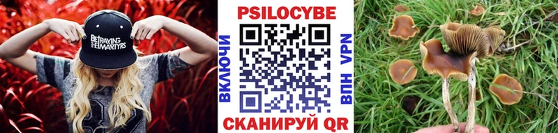 Купить  Камызяк  Галлюциногенные грибы Magic Shrooms 